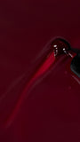Luxio kit F/W 26 Echo Collection (Limited Edition)