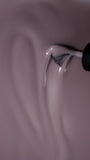 Luxio kit F/W 26 Echo Collection (Limited Edition)